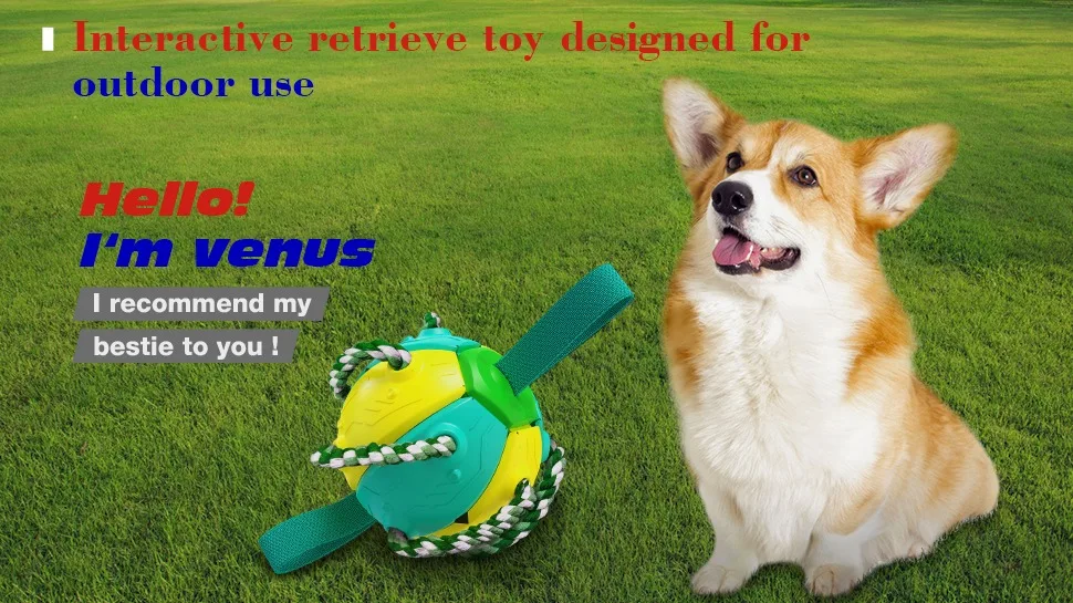 Best Sellers Pet Toy Dog Walking Frisbeed Toy Buy Best Sellers Pet