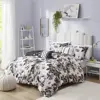 as Pic Color