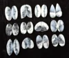 Blanco y Gris, Vendido por Peso (gramos), 18 a 20 pares por 100 g