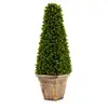 Colore verde