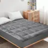gray Color