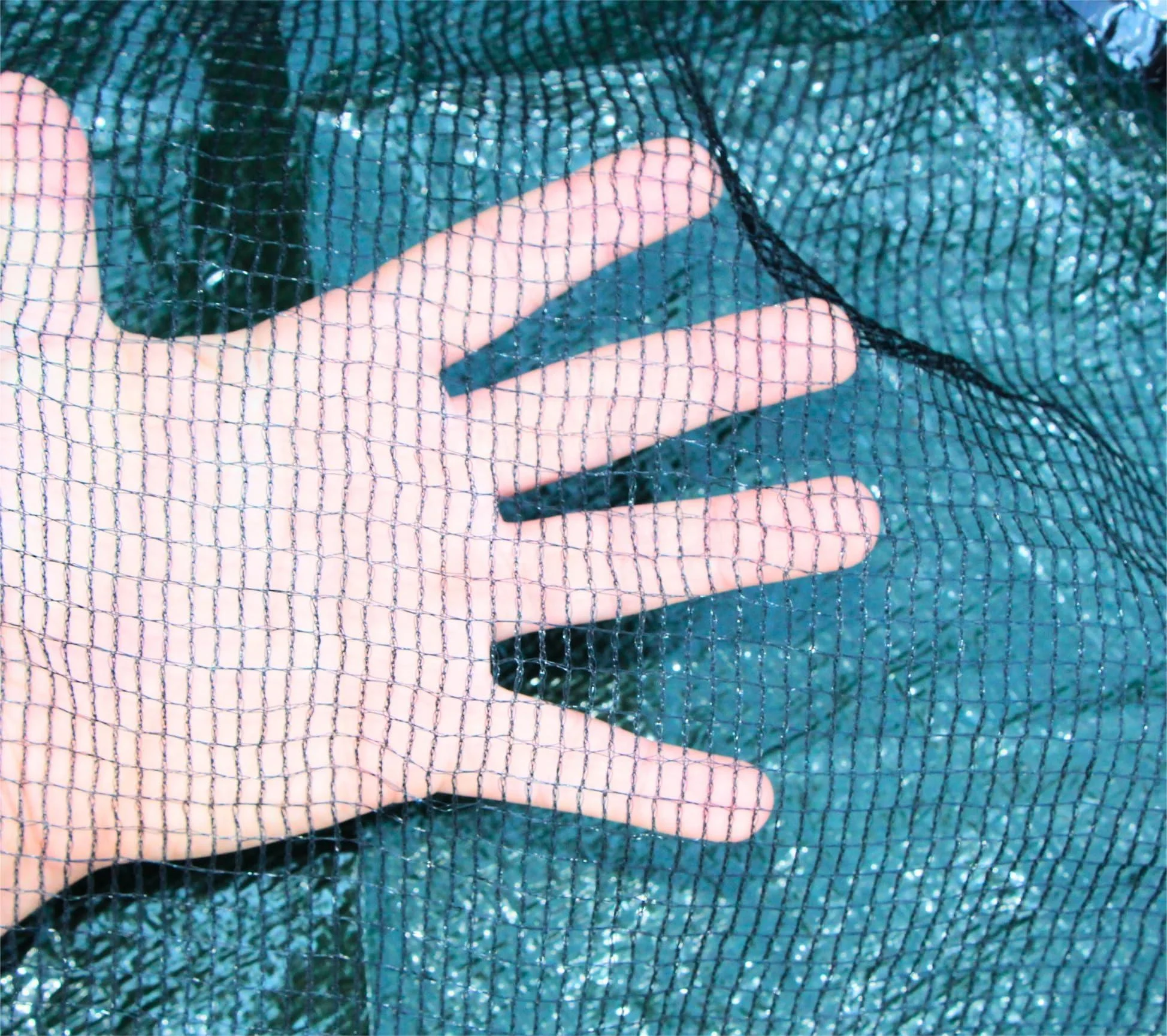 Durable PE Mesh Easy Roll-Up Leaf Net Cover Wholesale Price Protects Main Pool and Saves Cleaning Time manufacture
