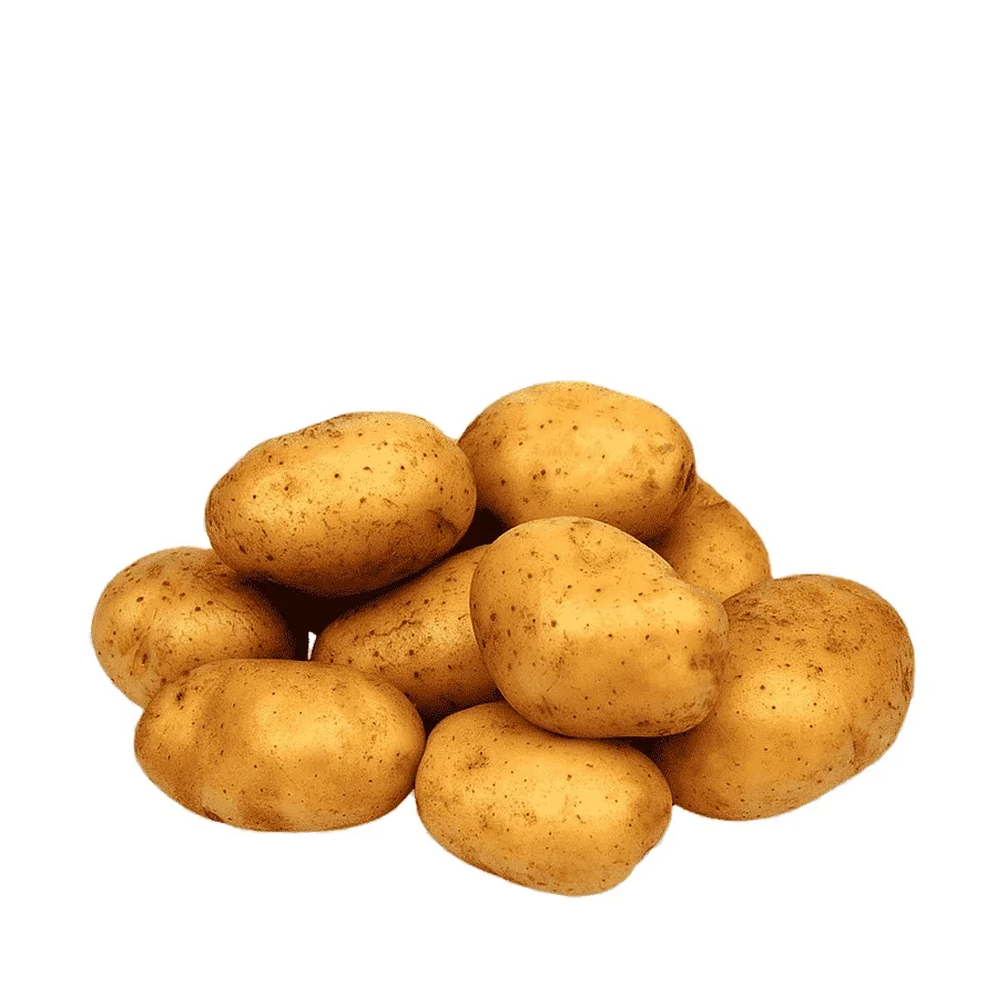 картофель жуковский фото отзывы