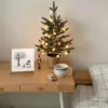 Snowman And Dog Color
