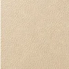 Ivory Cream