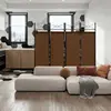 Brown Color