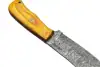 Bright Amber / Canary Yellow Wood Handle