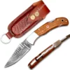 Olive Wood