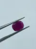 Pinkish Purple
