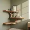 como se muestra