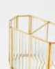 Gold Frame
