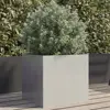 Silver Color