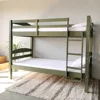 Olive verte