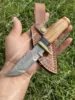 Olive Wood