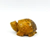 Tortue naturelle Mariam Jasper