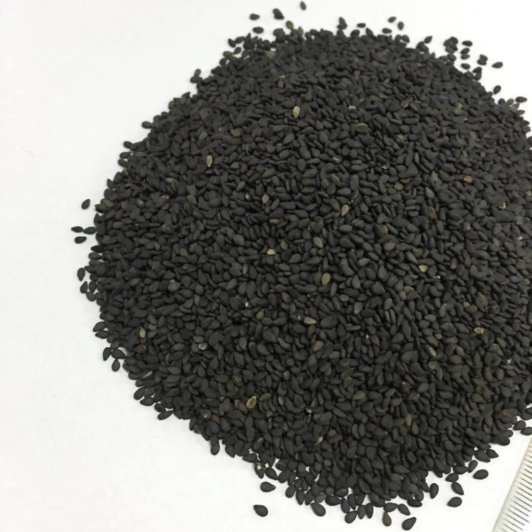 Fresh Harvest Black Sesame Seeds 25kg PP Bags