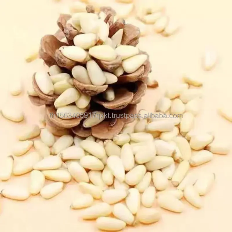 Pine nuts (1).jpg