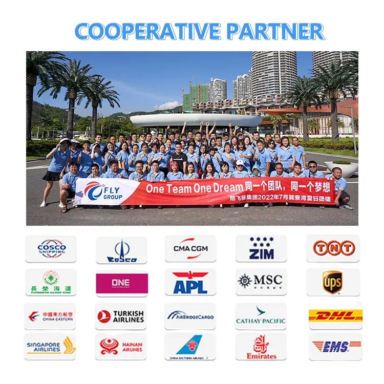Imports Cheap Rates to Johor Bahru/malaysia/mauritius/australia/south Sudan air Freight From China to New York
