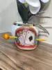 Marrón