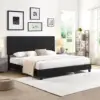 black Color
