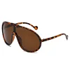 C3: Tortoise/ Brown