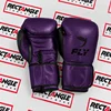 Morado y Negro