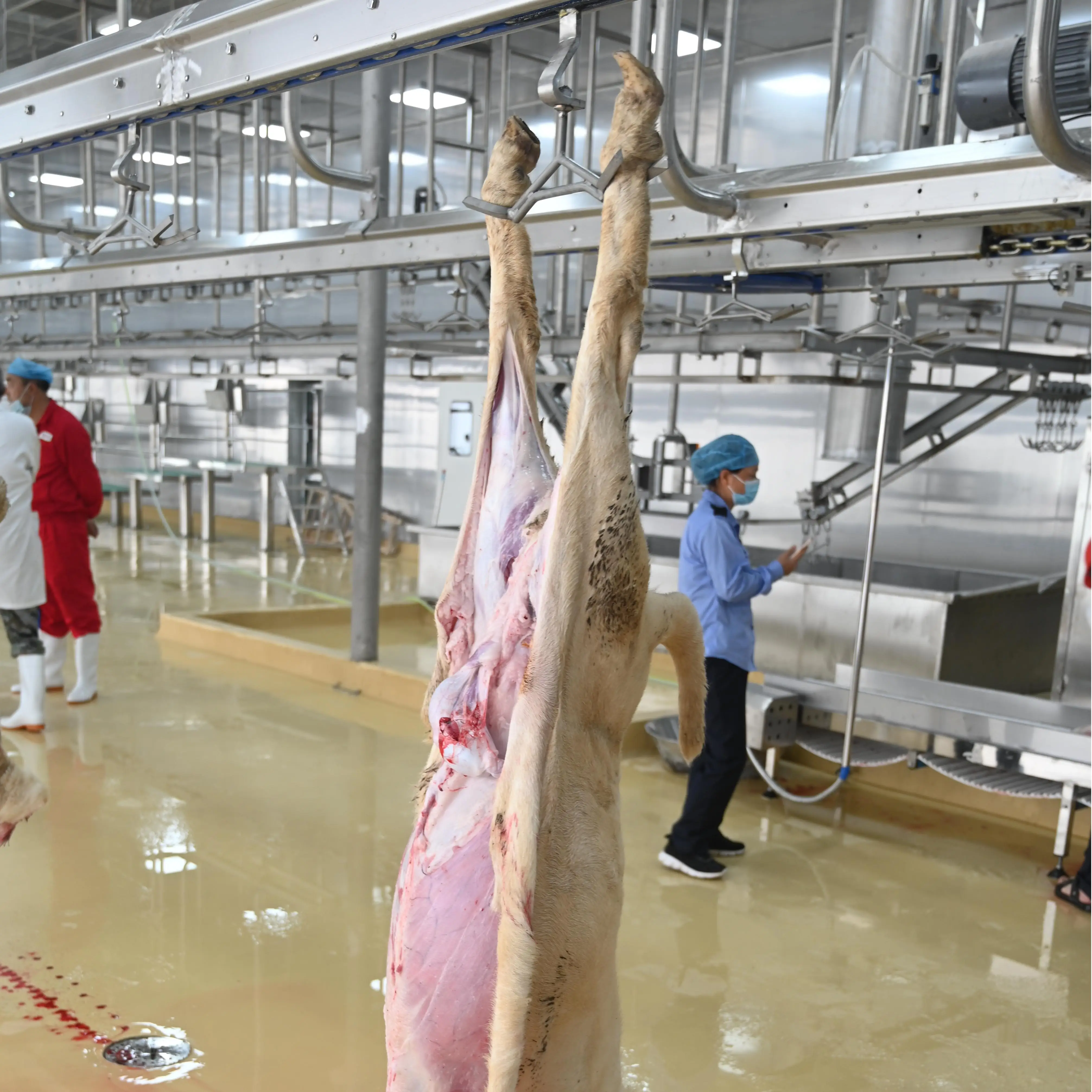 Turnkey integrated sheep slaughtering equipment for mutton and mutton production