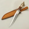 stag horn