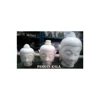 สีขาว