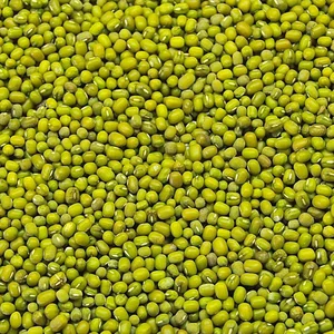 High Quality Indian Origin Green Moong Dal.. Green Mung Beans... Green Dal From India at Competitive Price.. Grains.