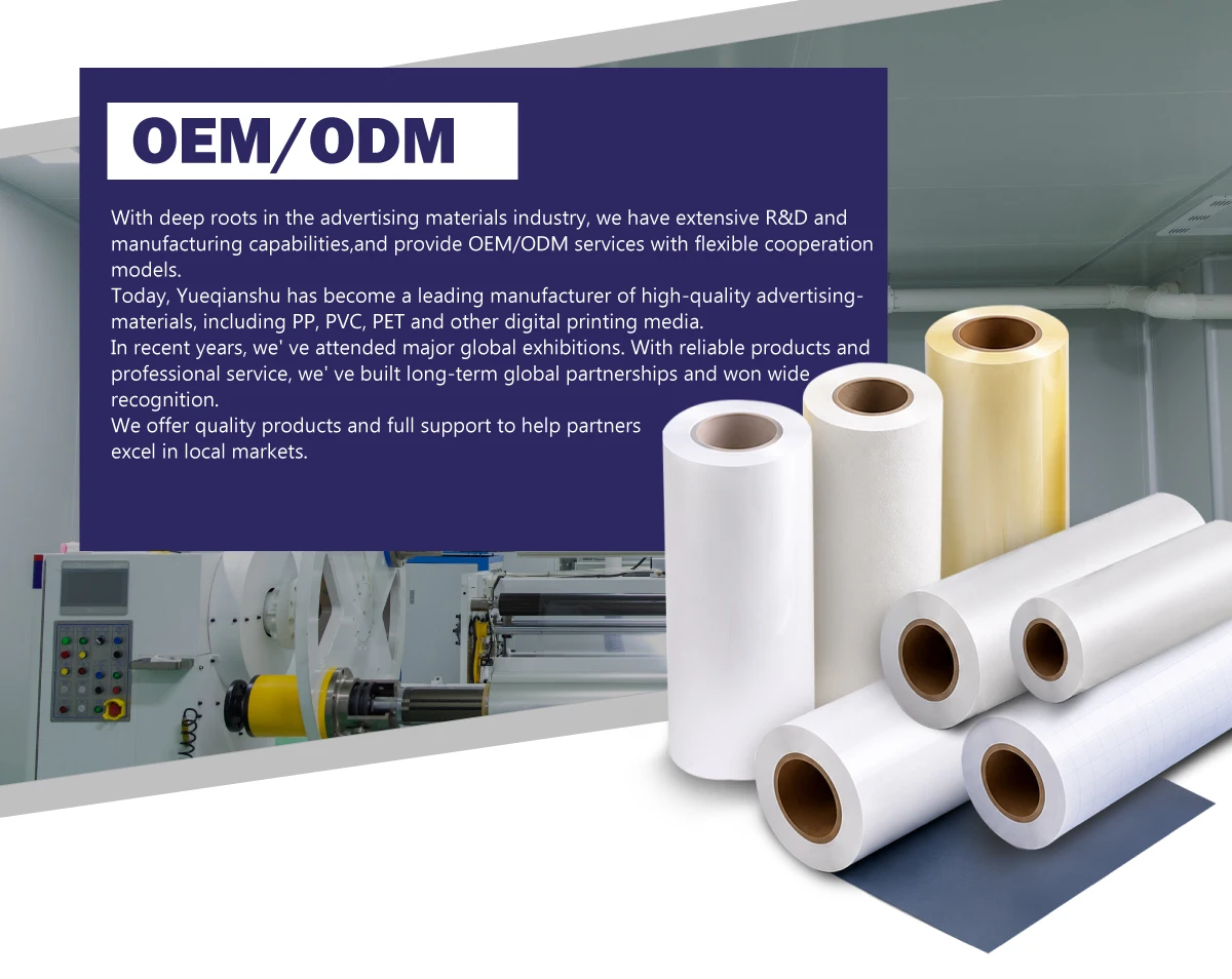 Company overview