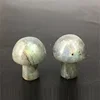 Natural Labradorite Mushroom