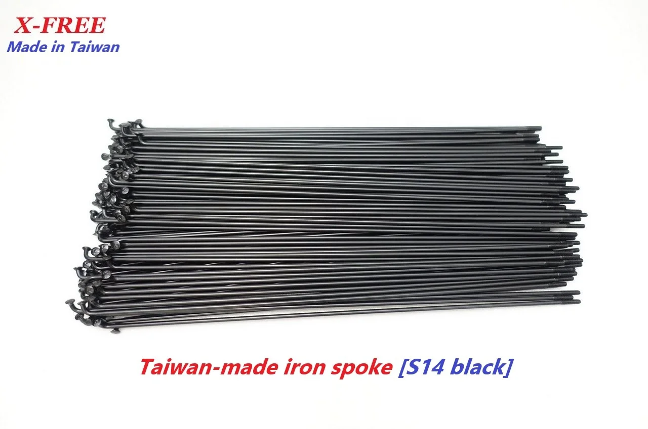 B11-33_X-FREES14 1.jpg