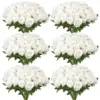 White Color