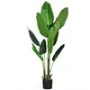 Green Color