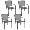 Anthracite Color
