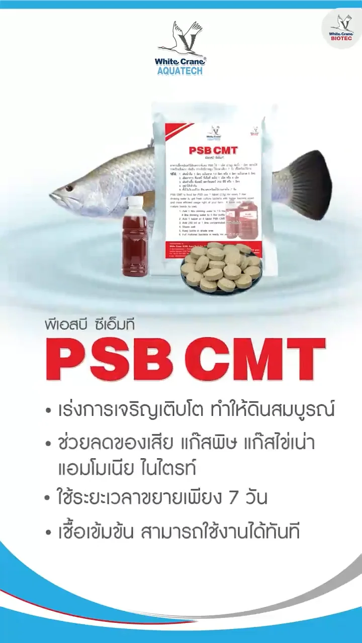 Product Made In Thailand Aquarium Fish & Shrimp Psb Cmt Probiotic