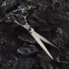 Plata