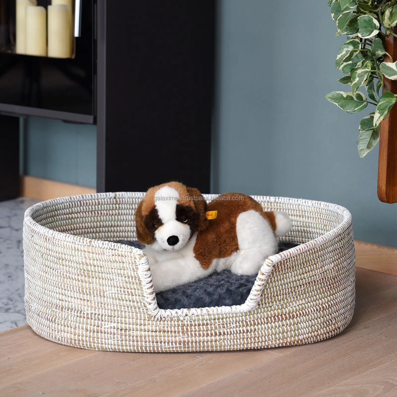 Wholesale White Seagrass Handwoven Pet Bed Seagrass Wicker Dog Cat Bed With Cushion Eco Friendly