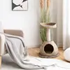 Coffee Color