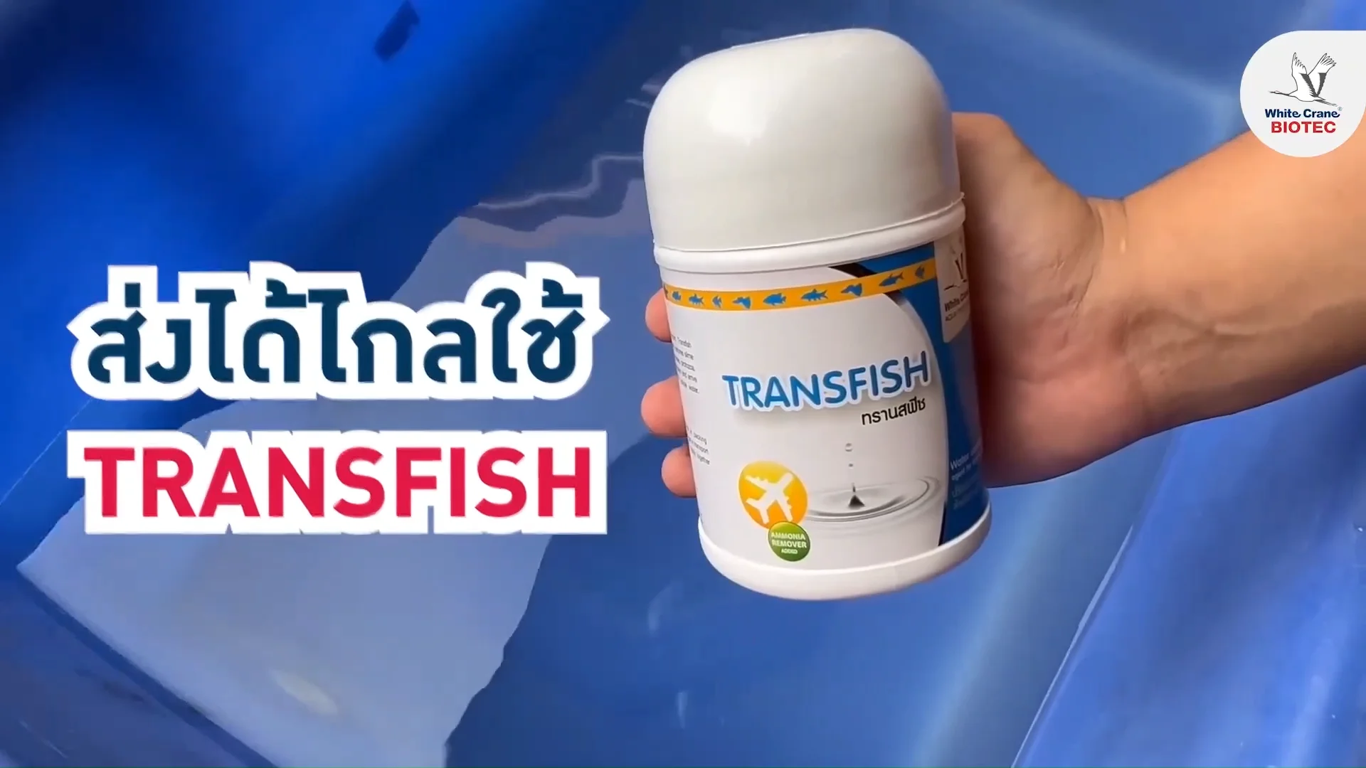 Tranfish Water Conditioning For Fish Transport Transfish A New Concept