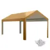 Beige Color