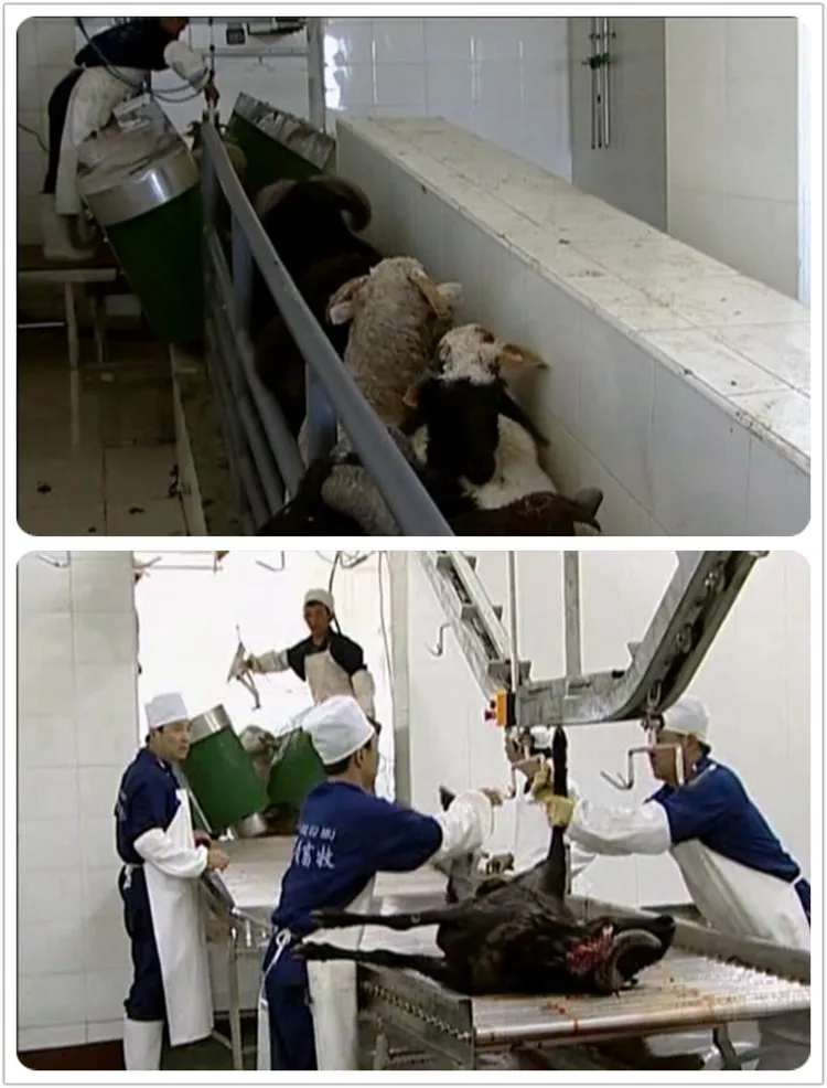 Turnkey integrated sheep slaughtering equipment for mutton and mutton production