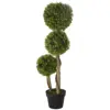 Green Color