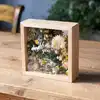 Transparent