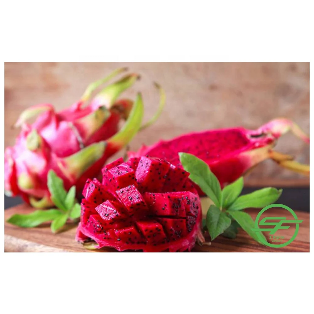 Provider Of The Best Fresh Red Dragon Fruit Buy Dragon Fruit Cuttings