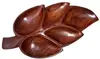 burlywood Log color square