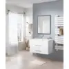 as Pic Color