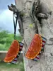 Multi