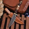 Stag Horn & Brown